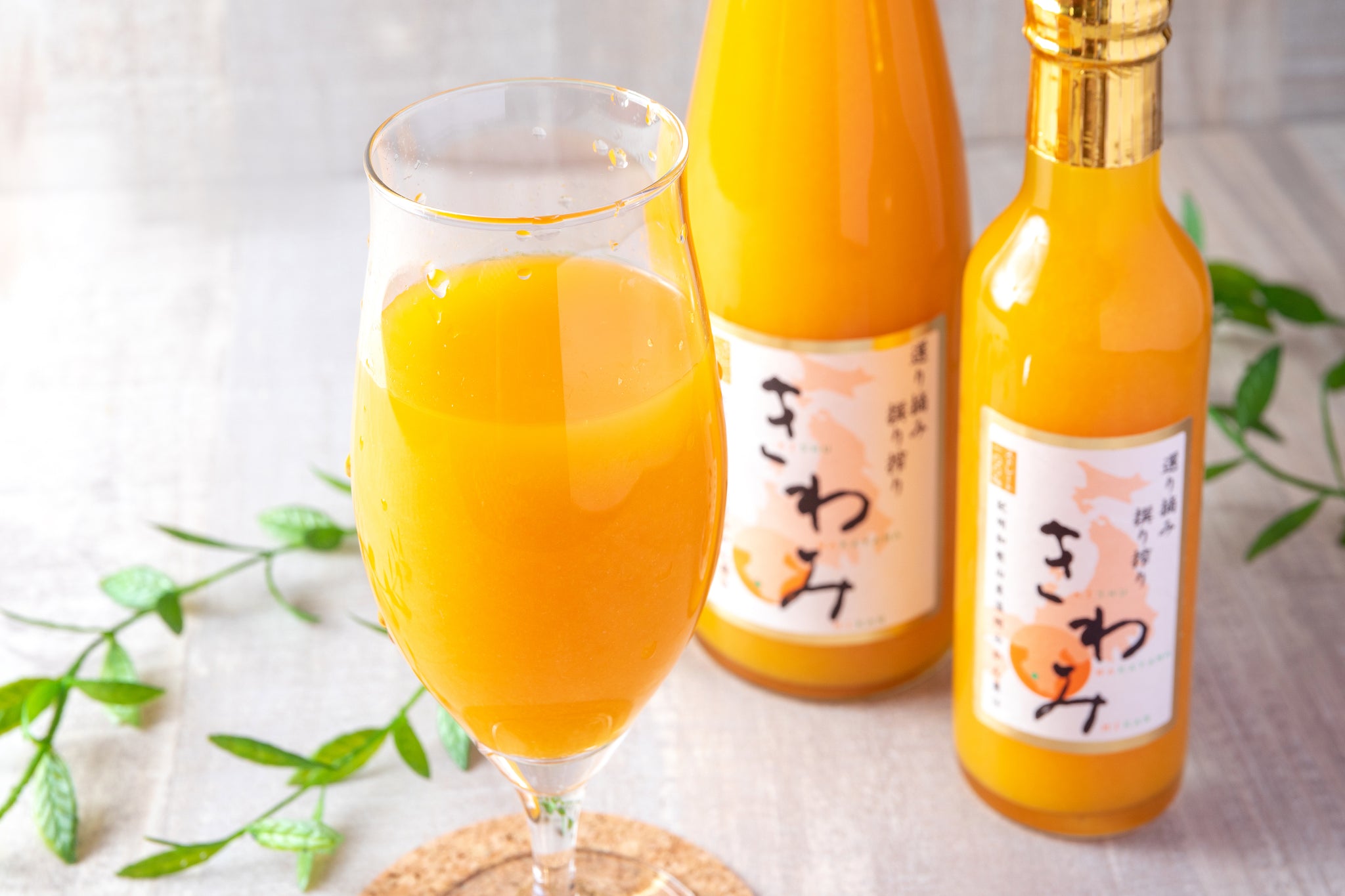 嵐 - みかんtoすもも様専門 たわわに実るオレンジ色のお宝！甘さと酸味がギュッと詰まった